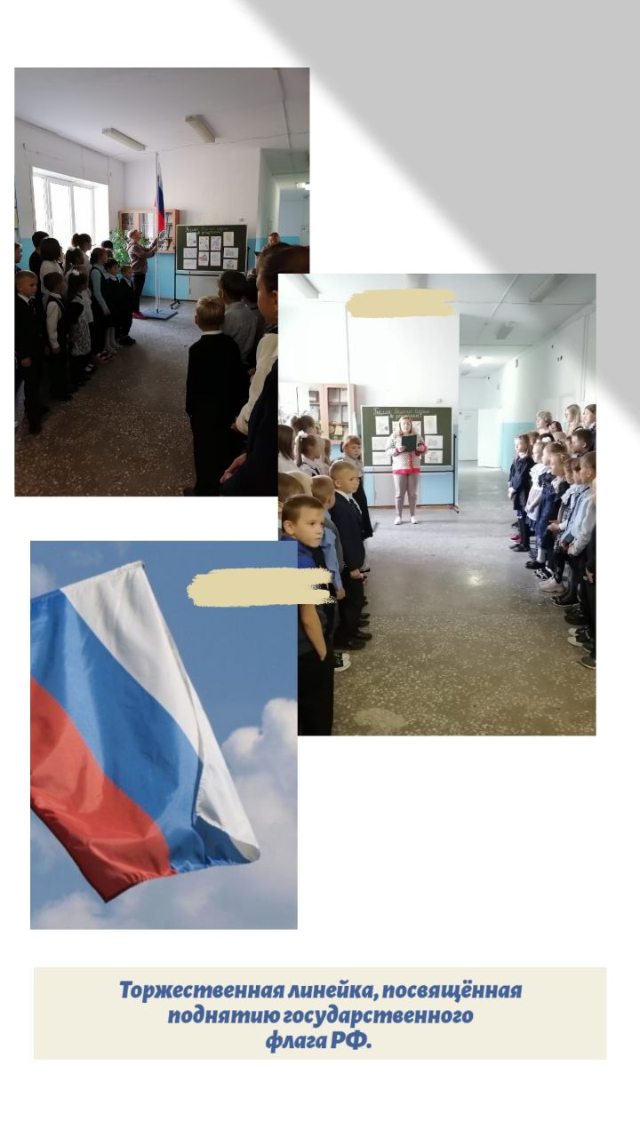 Без названия (67).jpg